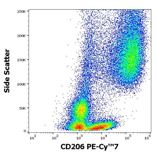 Anti-Hu CD206 PE-Cy™7