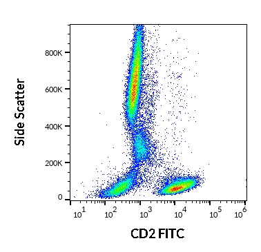 Anti-Hu CD2 FITC