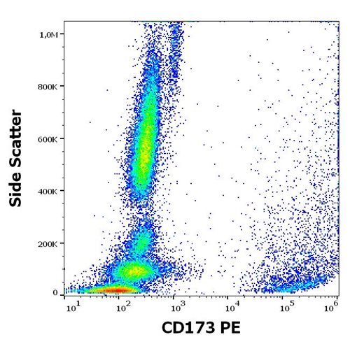 Anti-Hu CD173 PE