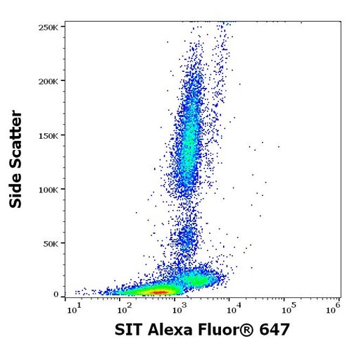Anti-SIT Alexa Fluor<sup>®</sup> 647