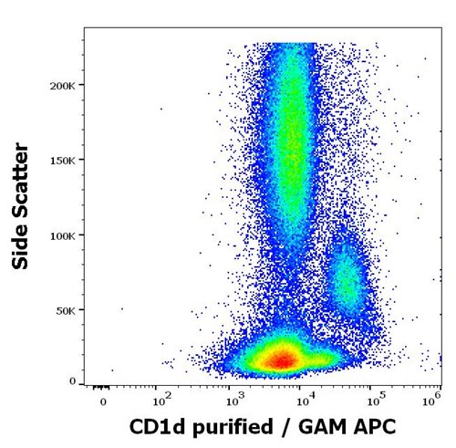 Anti-Hu CD1d Purified