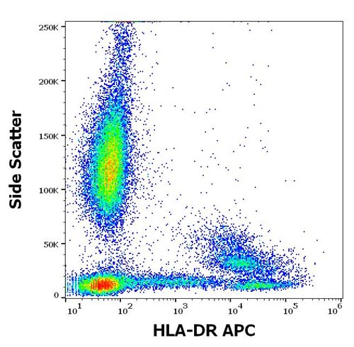 Anti-HLA-DR APC