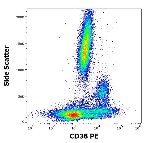 Anti-Hu CD38 PE