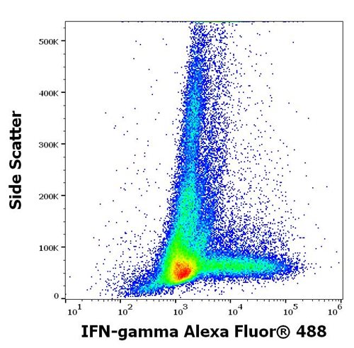Anti-IFN gamma Alexa Fluor<sup>®</sup> 488