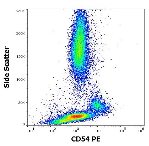 Anti-Hu CD54 PE