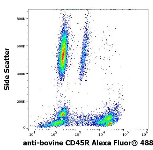 Anti-Bov CD45R Alexa Fluor<sup>®</sup> 488