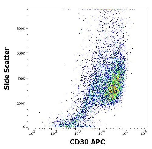 Anti-Hu CD30 APC