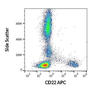 Anti-Hu CD22 APC