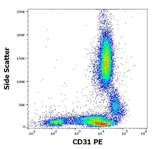 Anti-Hu CD31 PE