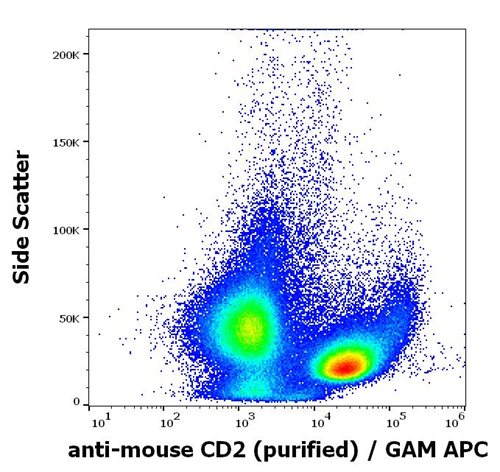 Anti-Ms CD2 Purified