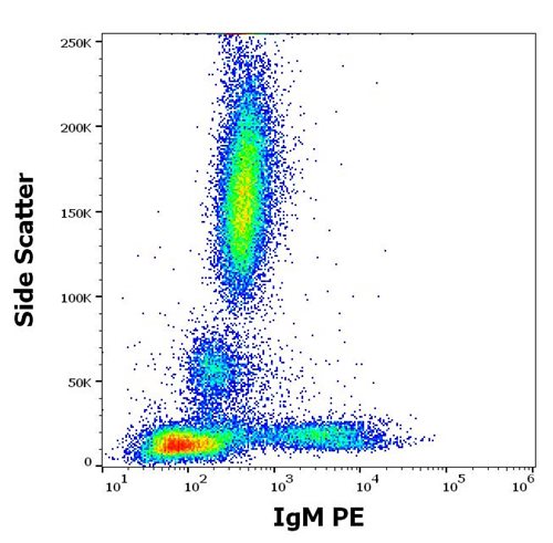 Anti-Hu IgM PE
