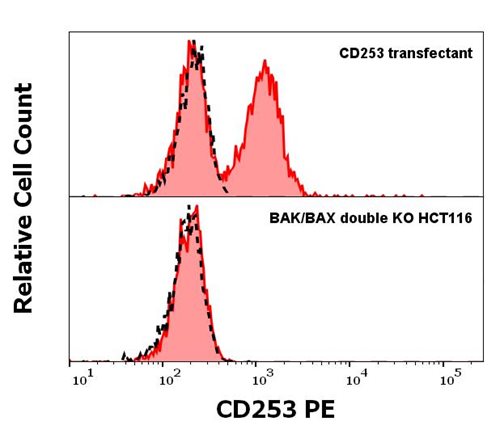 Anti-Hu CD253 PE