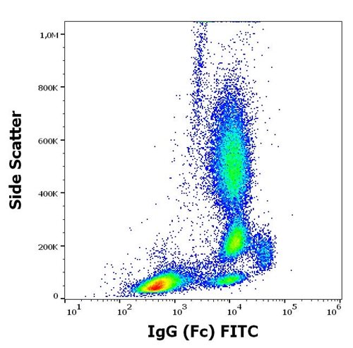 Anti-Hu IgG (Fc) FITC