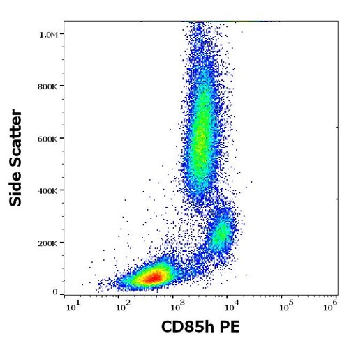 Anti-Hu CD85h PE