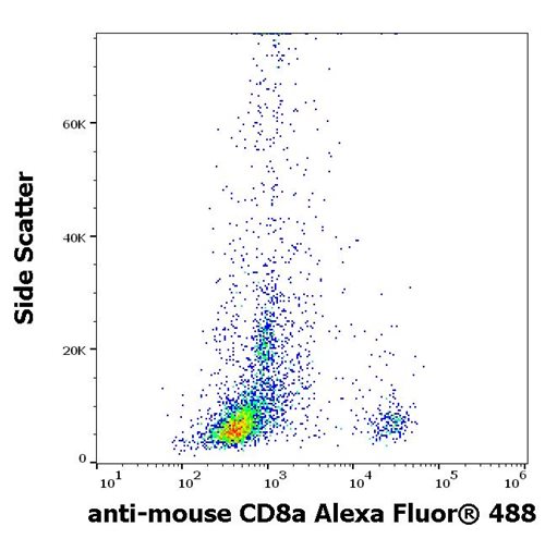 Anti-Ms CD8a Alexa Fluor<sup>®</sup> 488