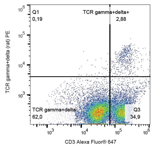 Anti-Rt TCR gamma/delta PE
