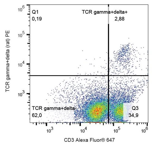 Anti-Rt TCR gamma/delta PE