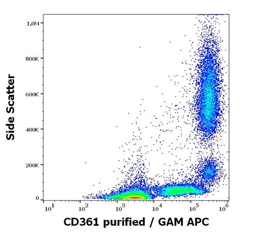 Anti-Hu CD361 Purified