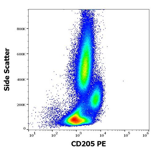 Anti-Hu CD205 PE