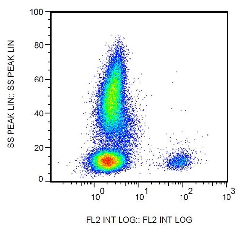 Anti-Hu CD19 Biotin