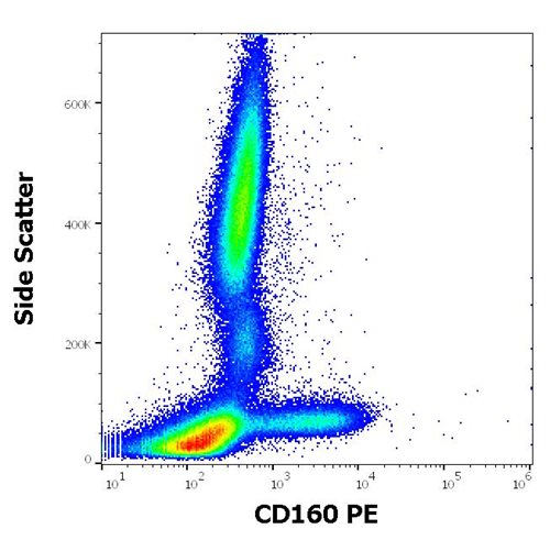 Anti-Hu CD160 PE