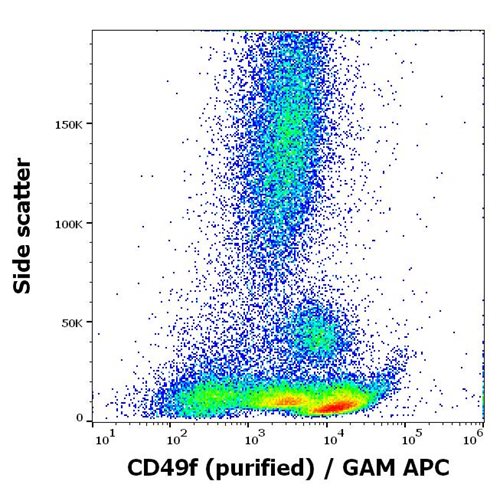 Anti-CD49f Purified