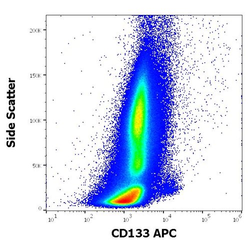 Anti-Hu CD133 APC