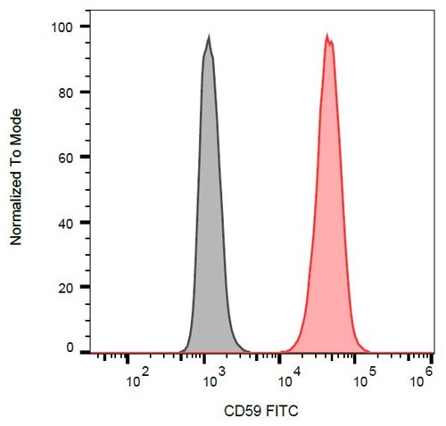 Anti-Hu CD59 FITC