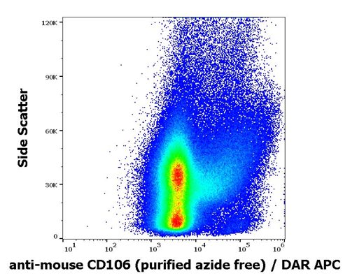 Anti-Ms CD106 Purified Azide Free