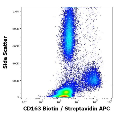 Anti-Hu CD163 Biotin