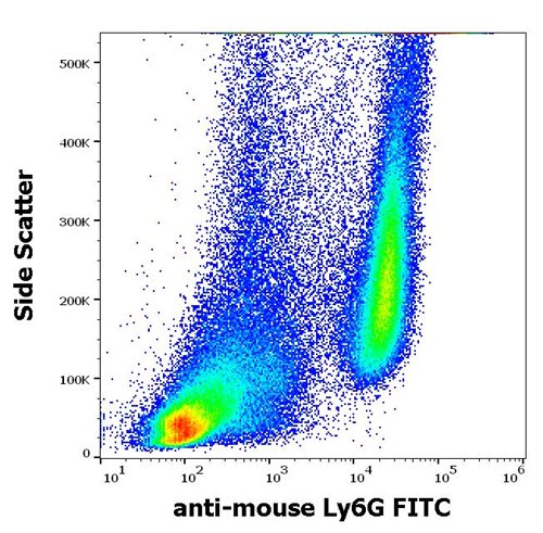 Anti-Ms Ly6G FITC