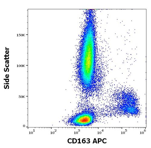 Anti-Hu CD163 APC