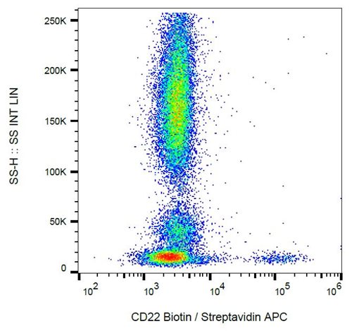 Anti-Hu CD22 Biotin