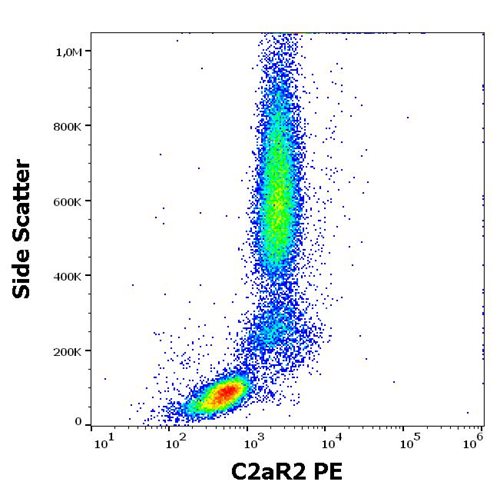 Anti-Hu C5aR2 PE