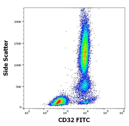 Anti-Hu CD32 FITC