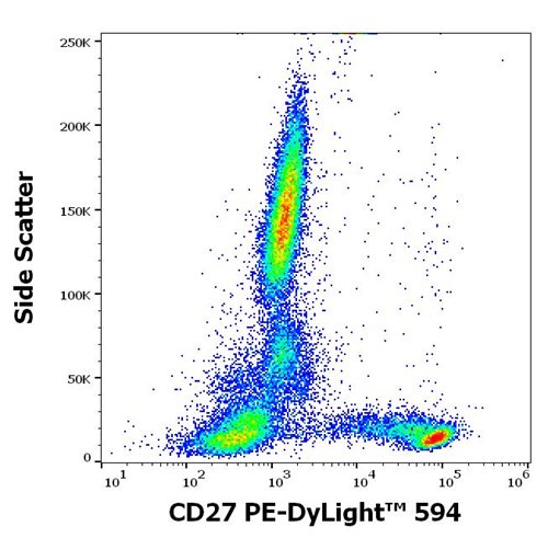 Anti-Hu CD27 PE-DyLight™ 594