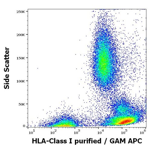 Anti-HLA Class I Purified