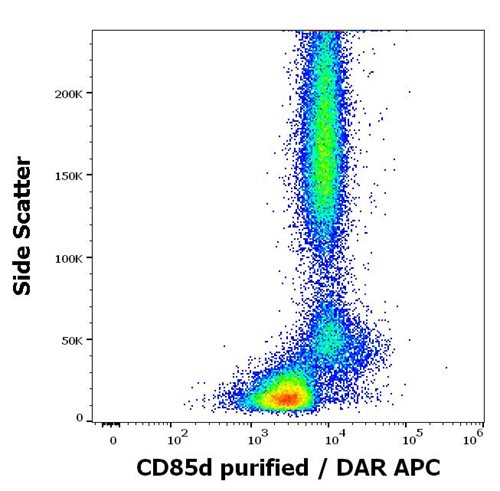 Anti-Hu CD85d Purified