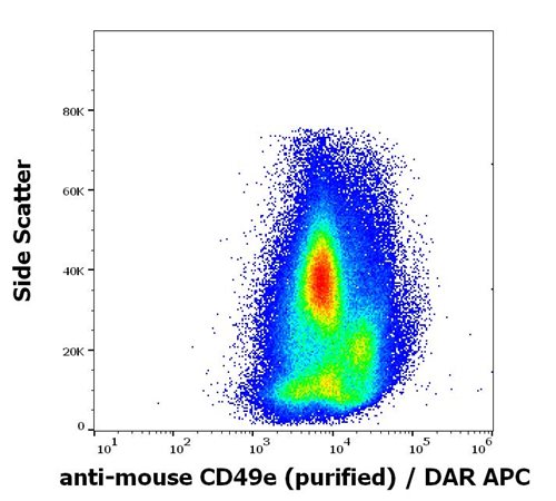 Anti-Ms CD49e Purified