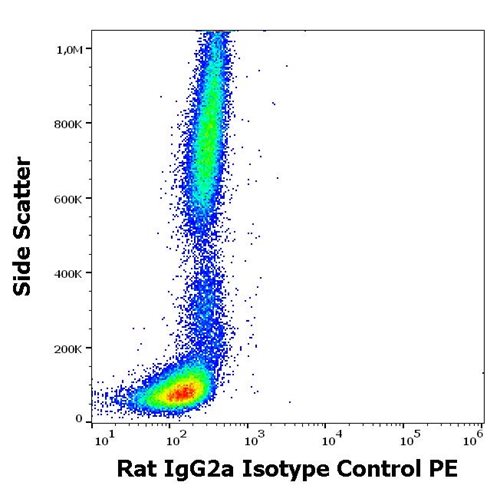 Rat IgG2a Isotype Control PE