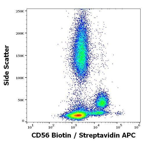 Anti-Hu CD56 Biotin