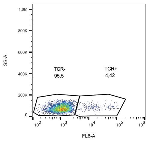 Anti-Hu TCR gamma/delta Purified Low Endotoxin