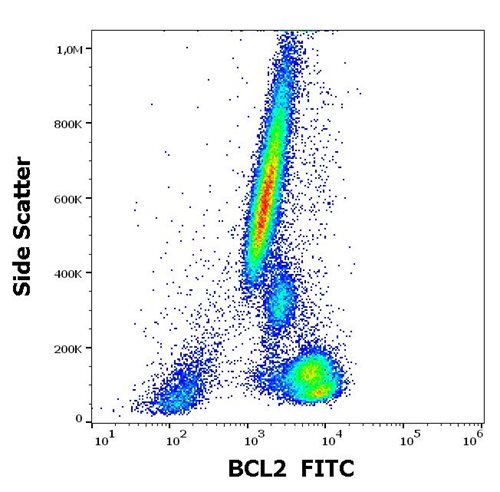 Anti-Hu BCL2 FITC