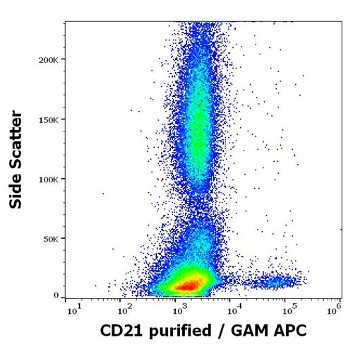 Anti-Hu CD21 Purified