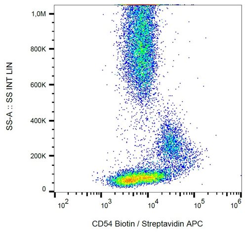 Anti-Hu CD54 Biotin