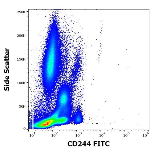 Anti-Hu CD244 FITC