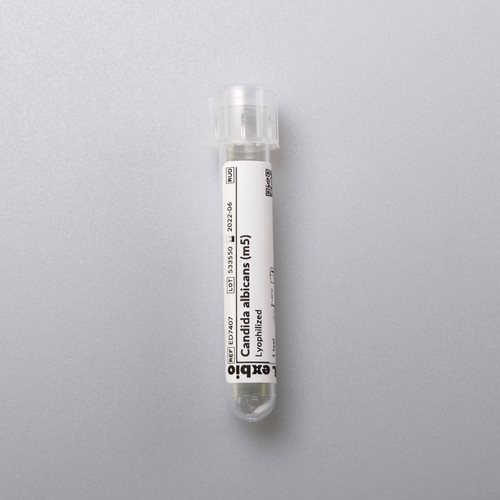 Candida albicans (m5)
