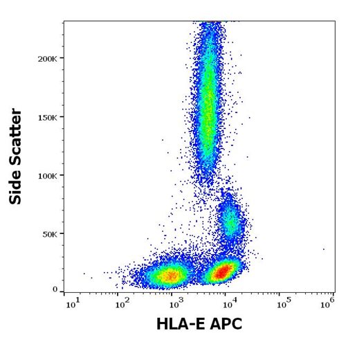 Anti-HLA-E APC