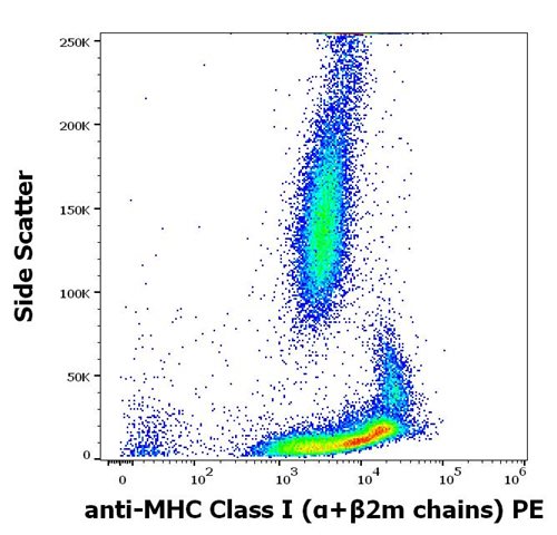 Anti-MHC Class I (α+β2m chains) PE