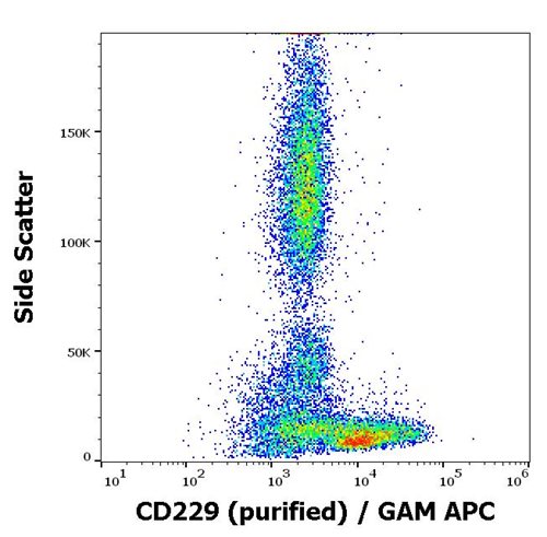 Anti-Hu CD229 Purified